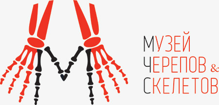 Музей Черепов и Скелетов, г. Зеленоградск, Калининградская обл.